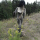 Illustration for article titled This freaky statue of a furry, hoof-handed woman will clip-clop into your nightmares